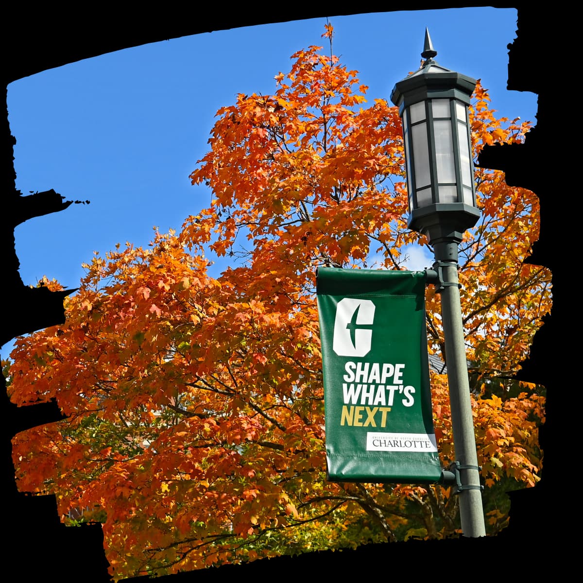 UNC Charlotte Lamp Post