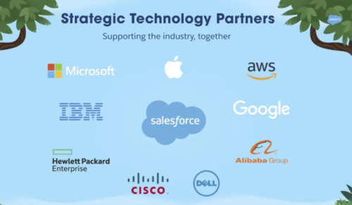 Salesforce Strategic Partnerships