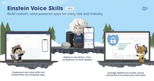 Salesforce Einstein Voice Skills