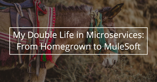 My Double Life in Microservices